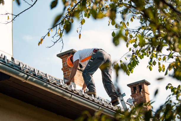 Best Roof Gutter Cleaning  in Louisville, GA