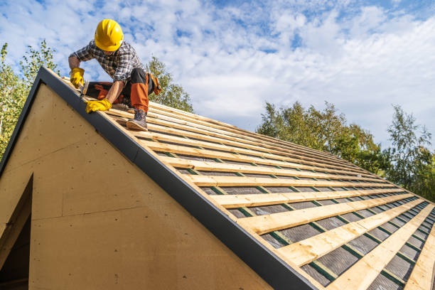 Best Gutter Installation and Roofing  in Louisville, GA