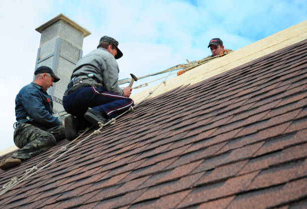 Best Residential Roofing Contractor  in Louisville, GA